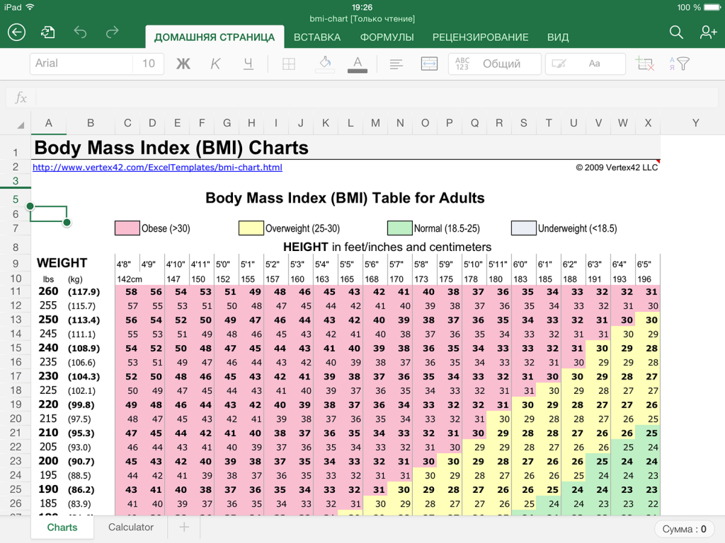 آلة حاسبة Excel لحساب مؤشر كتلة الجسم