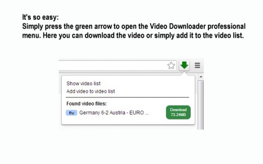 Video Downloader专业版