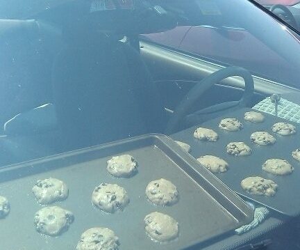 我们在车里煮饼干