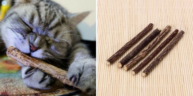 Mačke štapići