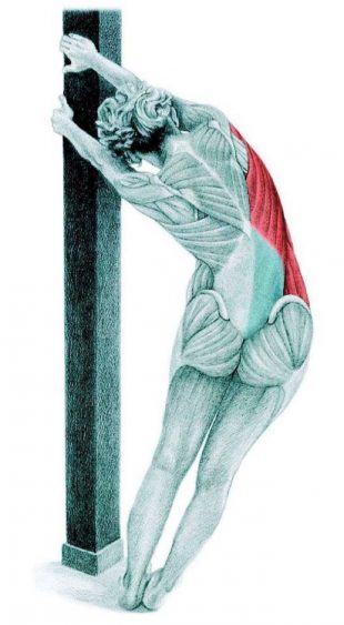 拉伸的解剖：将最宽的肌肉拉伸到墙壁上