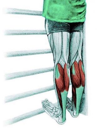 拉伸解剖：拉伸小腿肌肉