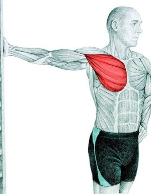 拉伸的解剖：胸肌向壁伸展