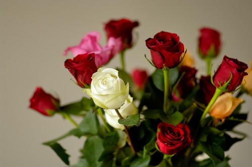 Bouquet ruža