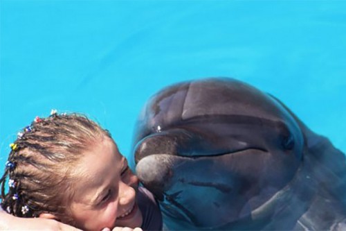 Dívka a delfín