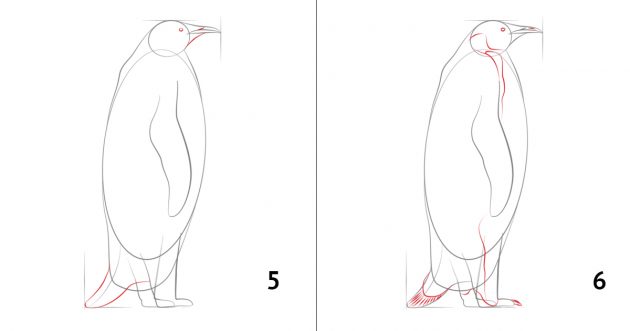 Как да нарисувате пингвин