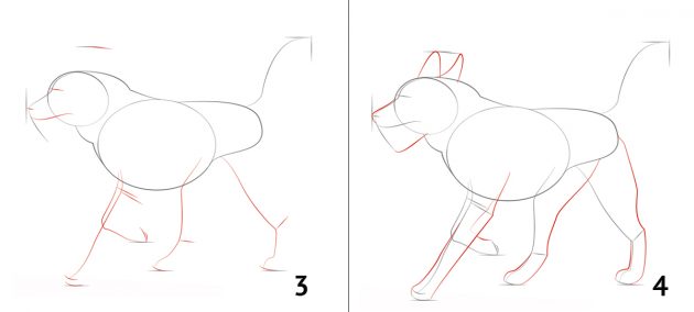 كيفية رسم الكلب