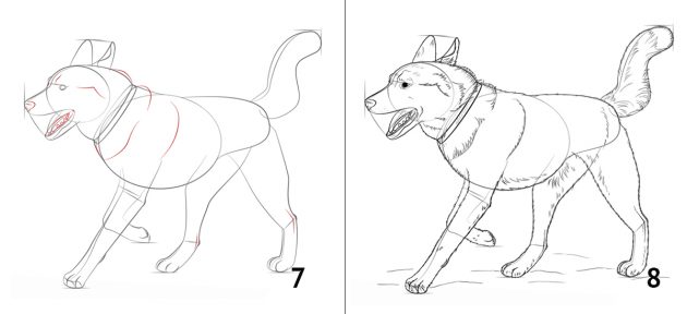 Jak nakreslit psa