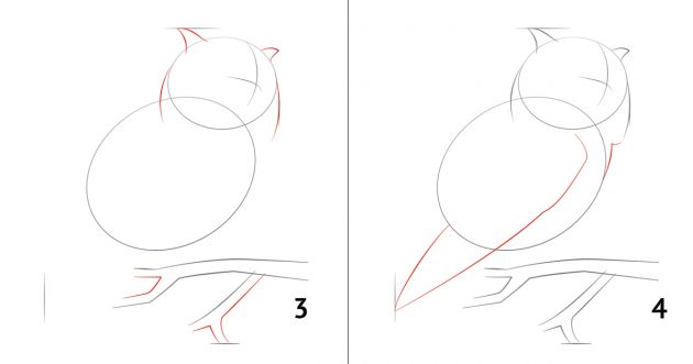 Как да нарисувате бухал