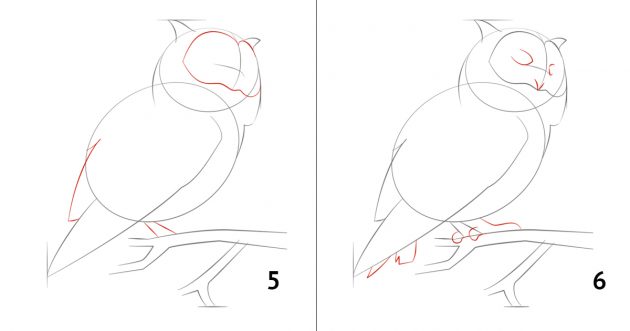 Как да нарисувате бухал