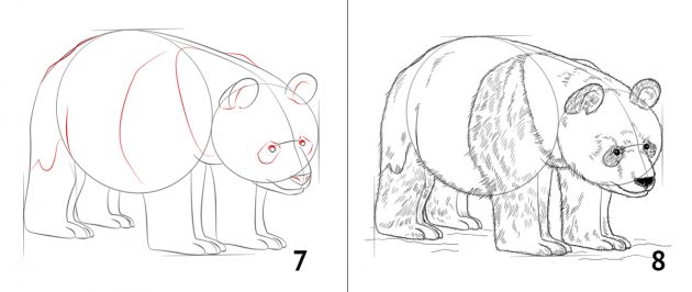 Hvordan man tegner en panda