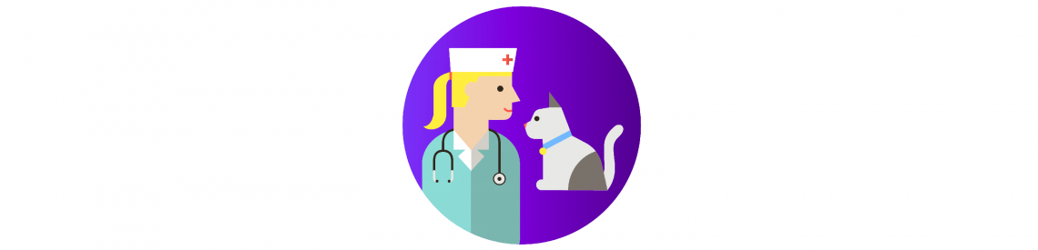 एक बिल्ली की देखभाल कैसे करें: एक पशुचिकित्सा की यात्रा