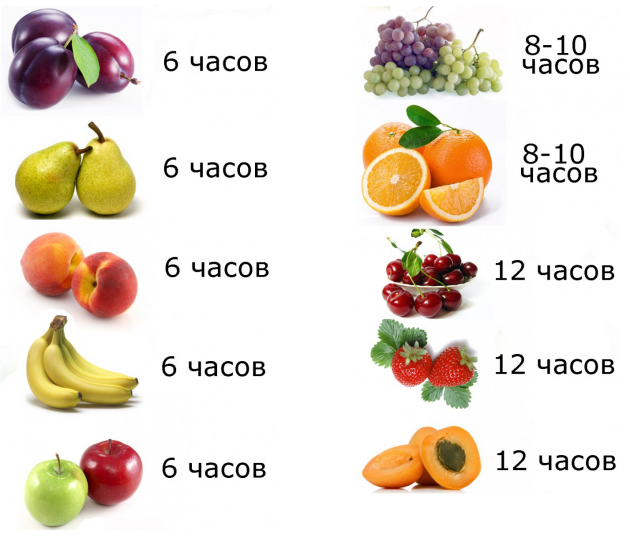 כיצד יבש פירות