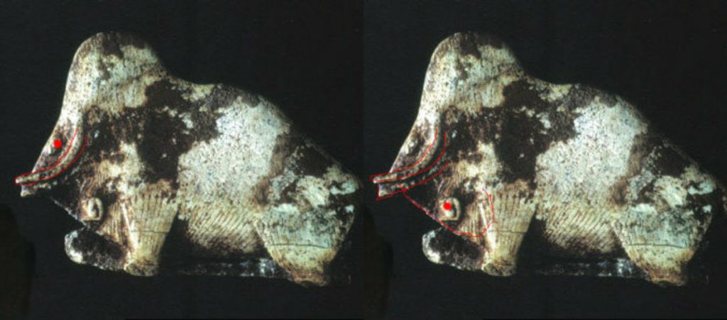 Illusions d'optique. Mammouth et Bison