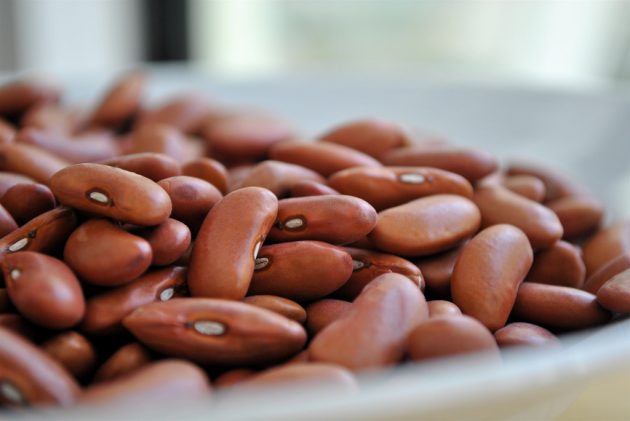 最有用的蛋白质来源：豆类